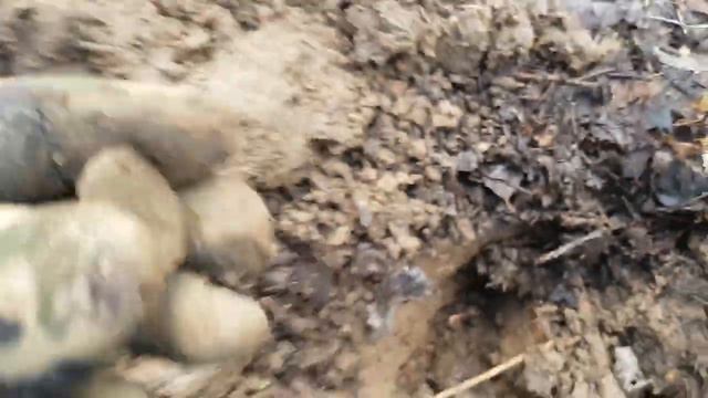 HENRY VIII's HUNTING FOREST TRIP 2 | ILLEGAL WEED GROW FOUND! | Metal Detecting UK смотреть онлайн
