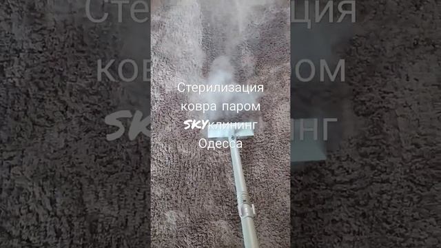 Дезинфекция мягкой мебели и ковров. SKYклининг Одесса смотреть онлайн
