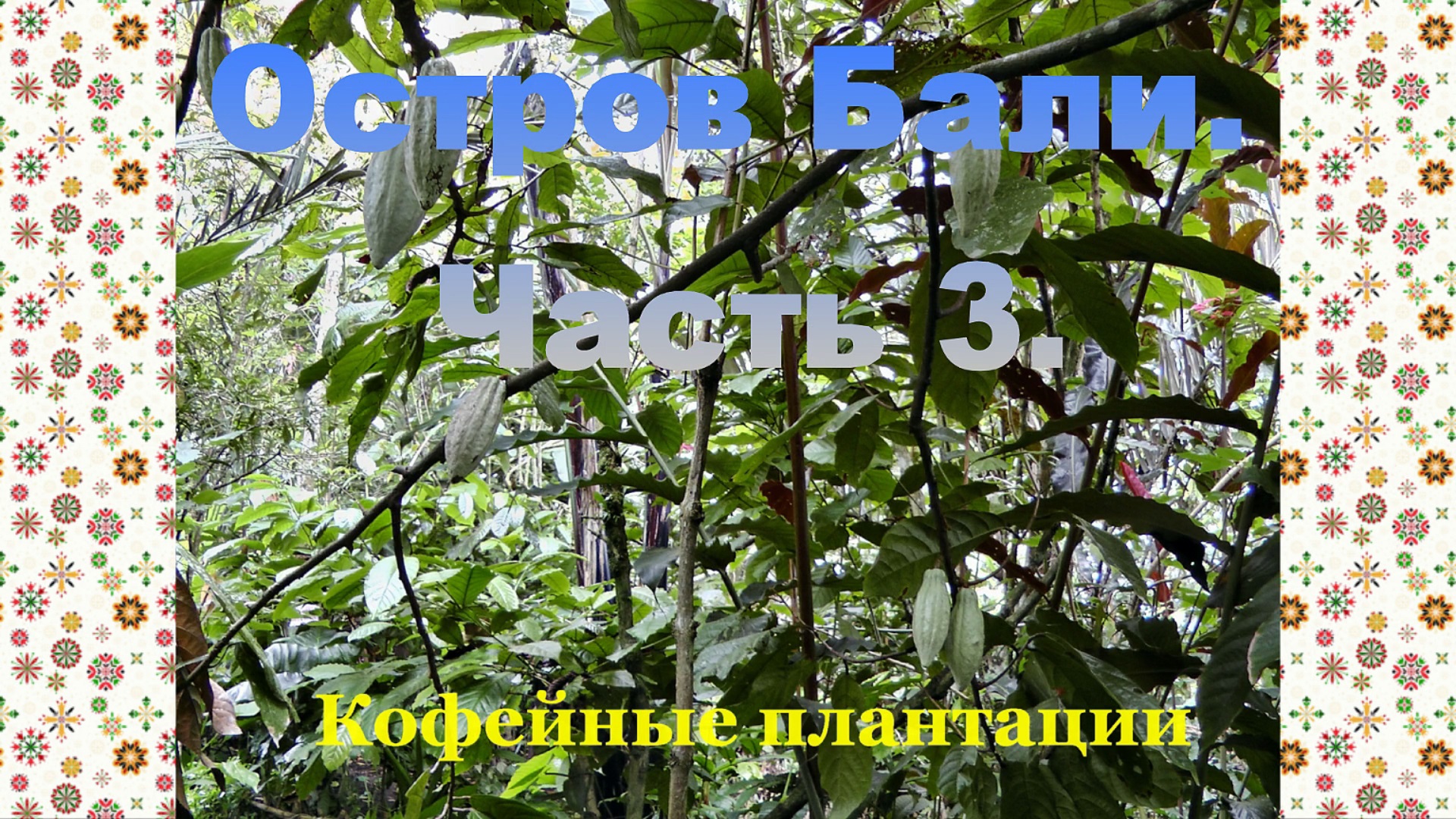 Остров Бали. Часть 3. смотреть онлайн