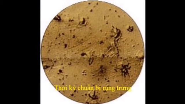 lady Q смотреть онлайн