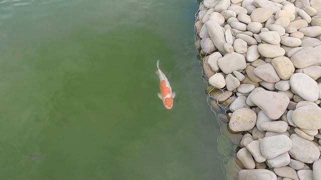 Welcome to Vladivostok 2021 смотреть онлайн