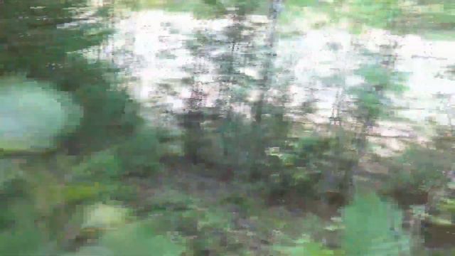 Год на Ютуб, атакуют грибники смотреть онлайн
