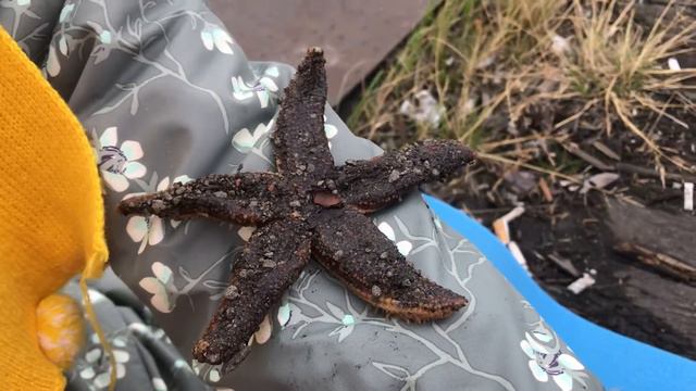 Морская заезда из Кольского залива Баренцева моря смотреть онлайн