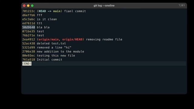 Git blame and git tags | Urdu смотреть онлайн