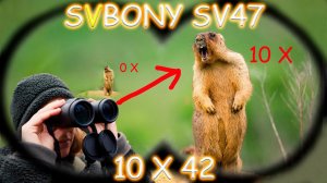 Бинокль SVBONY SV47 10X42: Идеальный выбор для охотников и натуралистов.