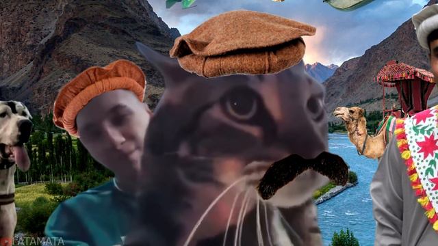 "Meow" in different languages meme смотреть онлайн