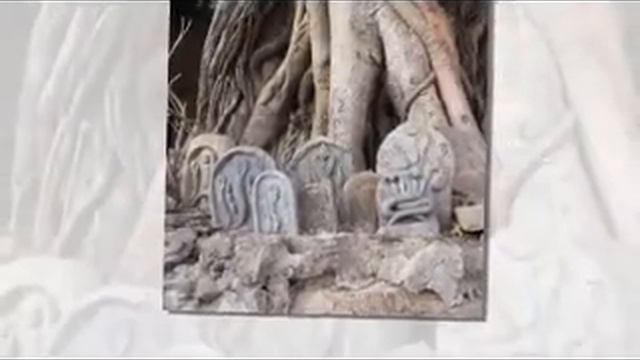 Lotus Posture Meditation смотреть онлайн