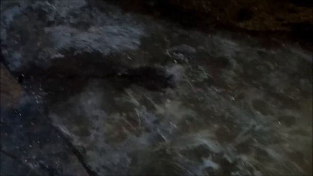 И ваш дом никогда не сгниет смотреть онлайн