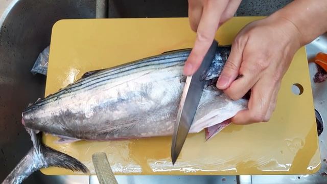 Parasites on striped bonito, note damage to sporeworm infected fish flesh. смотреть онлайн