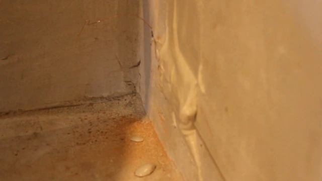 Установка струнных маяков #2 смотреть онлайн