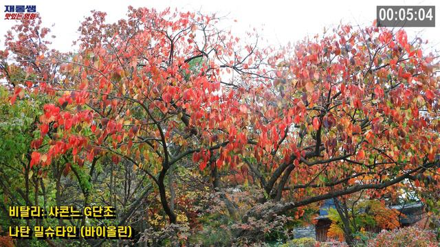 비탈리 샤콘느 [Chaconne In G Minor] Vitali ‘나탄 밀슈타인’ Nathan Milstein Violin 바이올린