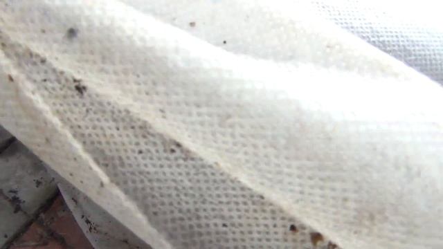 КОГДА ОБРЕЗАТЬ и УКРЫВАТЬ ВИНОГРАД в Средней Полосе ??? ЗАКАЛКА ЛОЗ смотреть онлайн