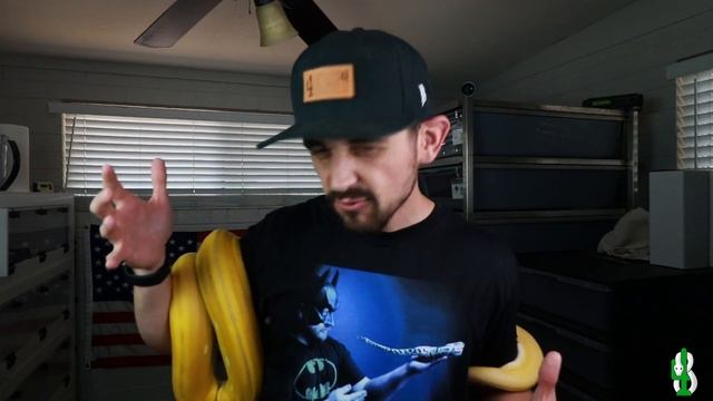 The Cutest Reticulated Python Around! смотреть онлайн