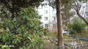 п. Тюменский Туапсе