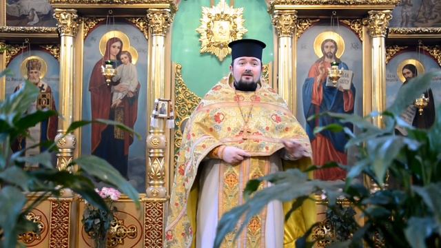 Проповідь в неділю перед Різдвом Христовим! (03.01.2021) священик Іван Гищук