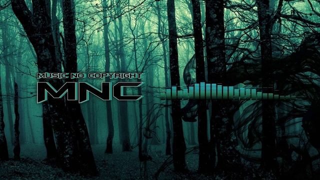 Lost Sky - Fearless Pt.II (feat. Chris Linton).mp4