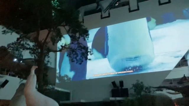 Дарвиновский музей #интересныеместамосквы смотреть онлайн