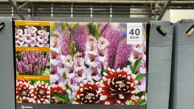 Бегонии, Георгины, Цветочные Миксы из Луковичных на Весну 2022. Begonia, Dahlia tubers London Часть смотреть онлайн