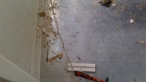 Курятник из сендвич-панелей на винтовом фундаменте, размер 3х6м