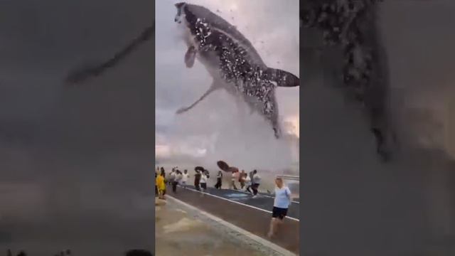 родственные связи 2 смотреть онлайн