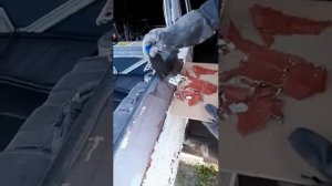 Смывка body 700 в действии.