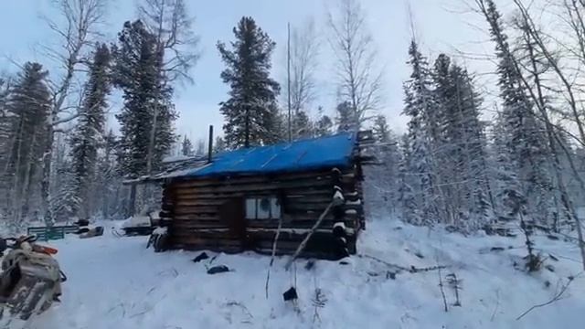 Регион 88 | Промысел соболя 2022. Часть 14 смотреть онлайн