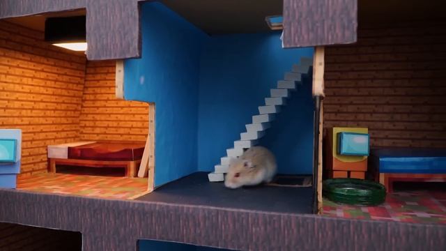 Hamster Adventures In Rainbow Friends Maze In Real Life [OBSTACLE COURSE] смотреть онлайн