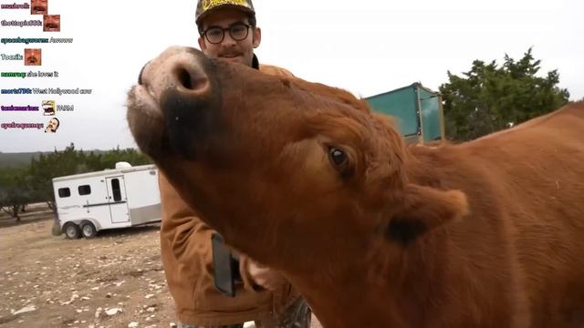 Hasan Visits Maya At Alveus