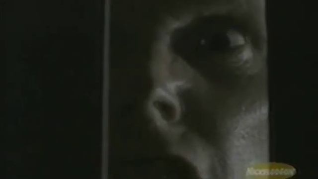 Opinionated Animorphs Episode Guide - 1.13 The Forgotten смотреть онлайн