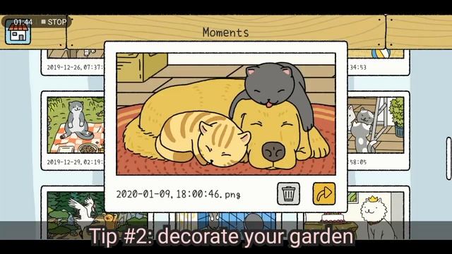 Adorable home: My One Month Memories + Tips and Tricks смотреть онлайн