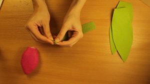 Тюльпаны из фетра.