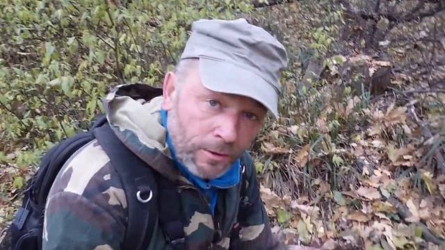 Куда уехал цирк.... смотреть онлайн