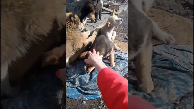 До слёз ? Давайте потратим хоть маленькую часть нашей жизни на любовь и добро ❤️ смотреть онлайн