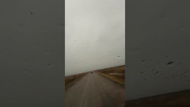 Жеребца с Омска в Поспелиху смотреть онлайн