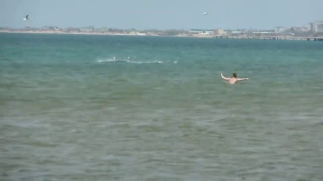 Анапа. Море. Май. Мальчик и дельфины. (03.05.21) смотреть онлайн