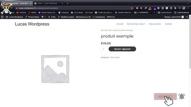 Modifier son formulaire de checkout de Woocommerce ? Facile ! смотреть онлайн