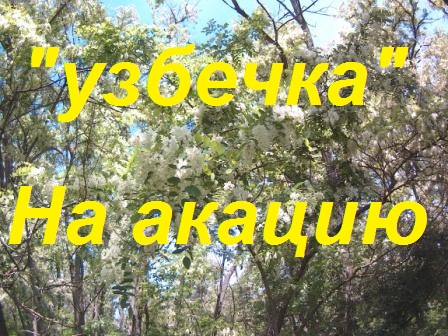 Пчелопакеты "Узбечка"-12 дней в пути,6 дней в холоде,7 дней в ульях.Как взять мёд Белой акации. смотреть онлайн