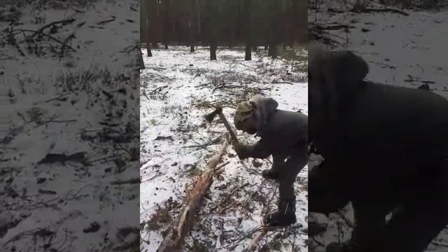 Разведение костра в лесу. смотреть онлайн