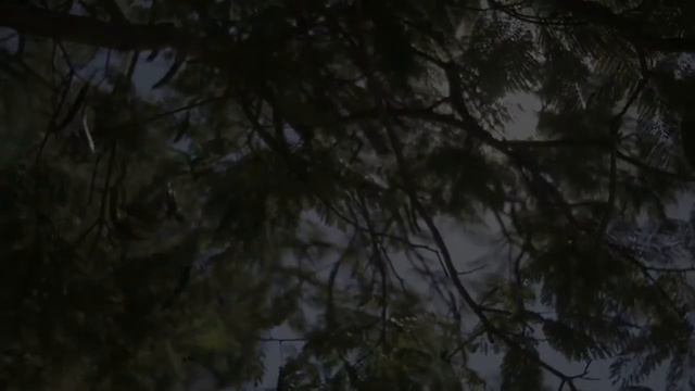 Anna Rubin Artist - Life Story, Romanticism And Early Inspiration смотреть онлайн