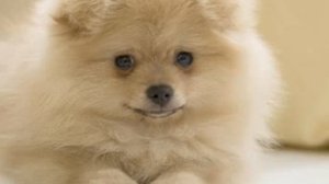 Если с другом вышел в путь.flv