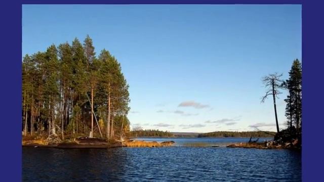 Мои любимые фотки.wmv смотреть онлайн