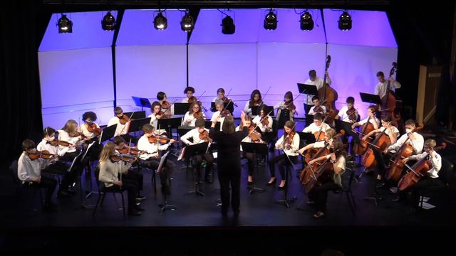 MMS Orchestra -- Lionheart