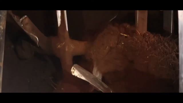 Ecobelly I Automatic Organic Waste Composter I OWC I Environ Recycling смотреть онлайн