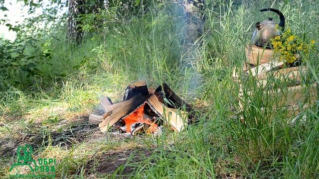 Видео костра. Доставка дубовых дров. смотреть онлайн