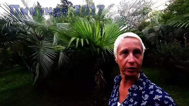 Пицунда.Отель Питиус.