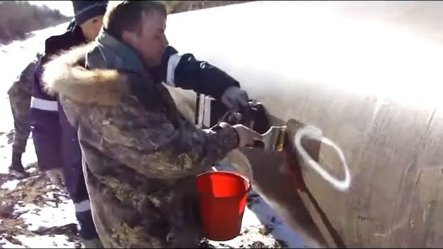 Степа и кисточка смотреть онлайн