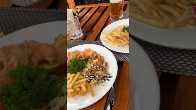 Мальдивы VS Шри-Ланка — где лучше смотреть онлайн