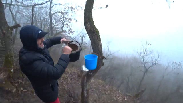 ДЕРБЕНТ , утренний чай в сосновом бору 🌲🌲☕ смотреть онлайн
