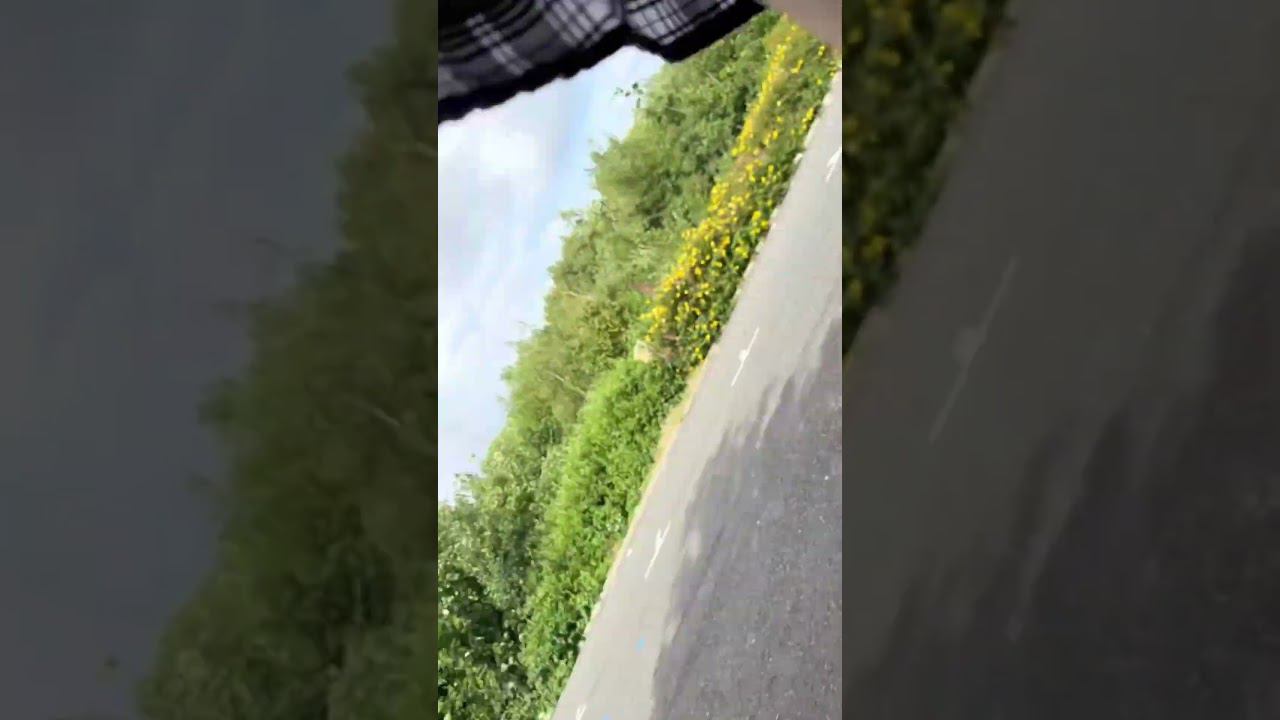 looked under her skirt смотреть онлайн