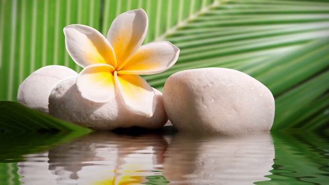 Lucas 3 Viernes Silver TRES FeesBack Audio 2021-11-05 at 21.07.14 смотреть онлайн